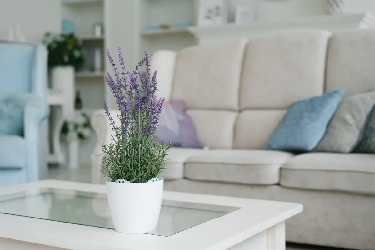 Keeping Your Pittsburgh Rental Competitive and Profitable
